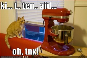 LOLcat by eesh (eesh.net) based on image by splityarn CC-by-nc-sa (http://www.flickr.com/photos/splityarn/2766294821/)